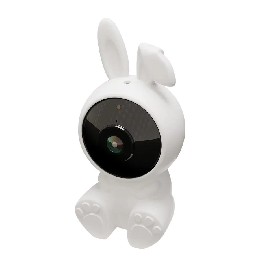 Camera & Security - Tashqila