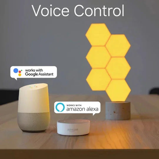 Cololight Pro - 6 Pack with Stone Base - Tashqila