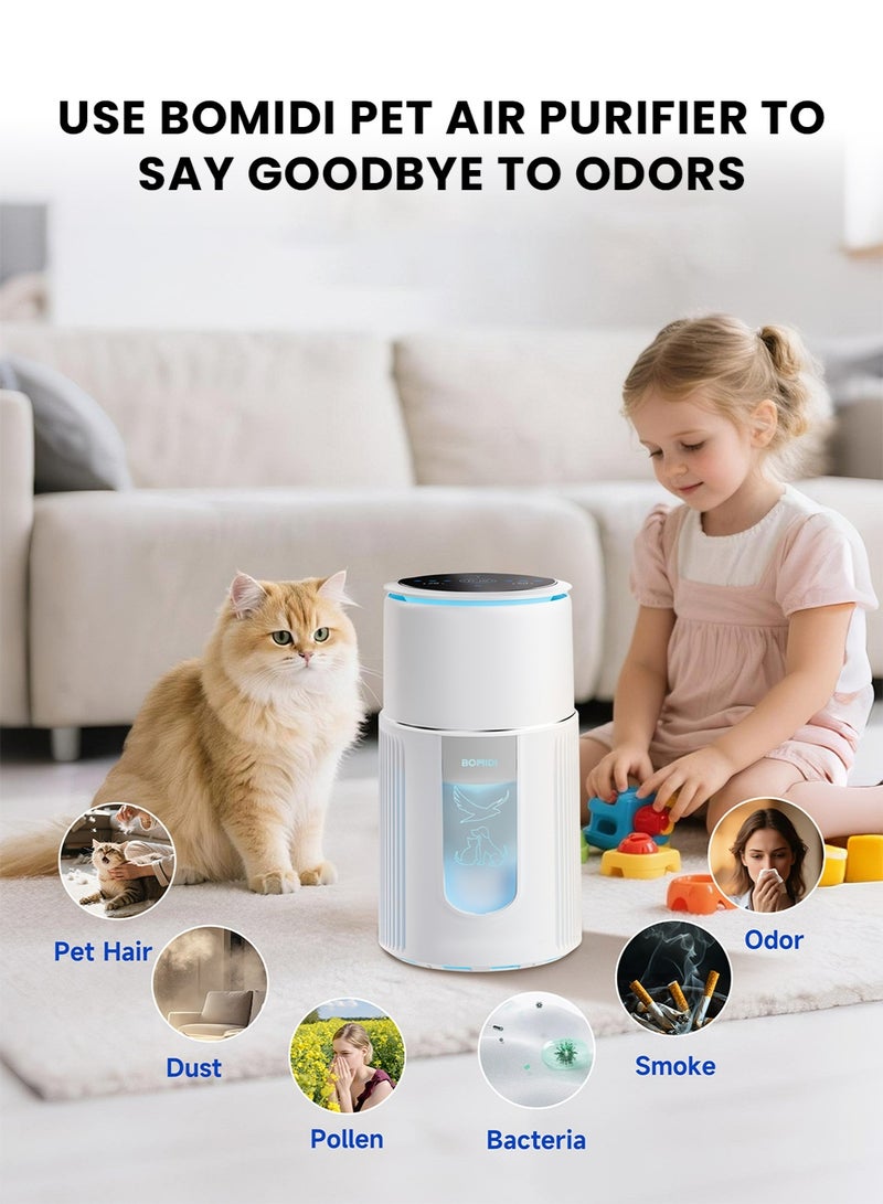 Bomidi Pet Air Purifier AP02 White
