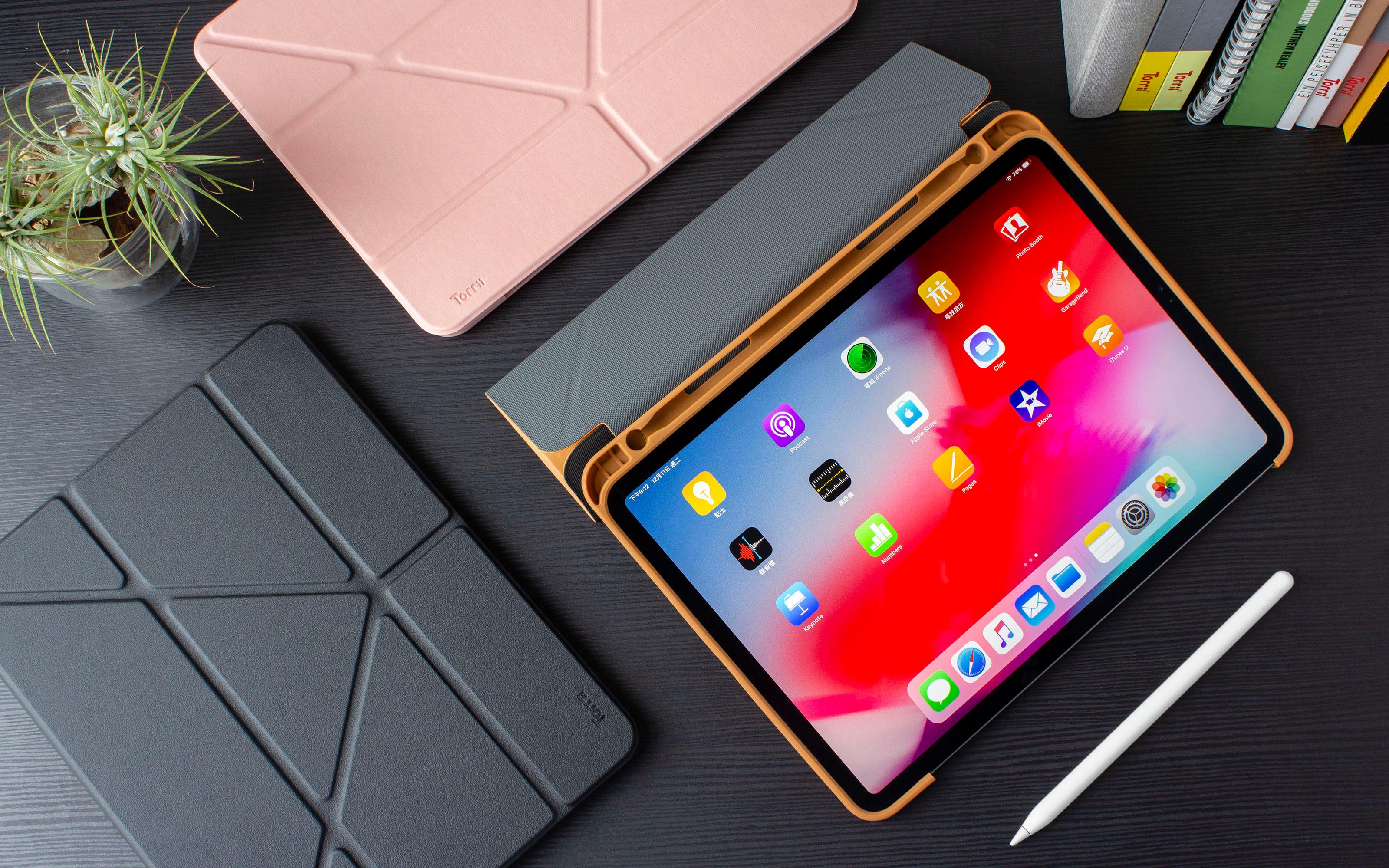 Torrii Torrio Plus For iPad Pro 11 - Black - Tashqila