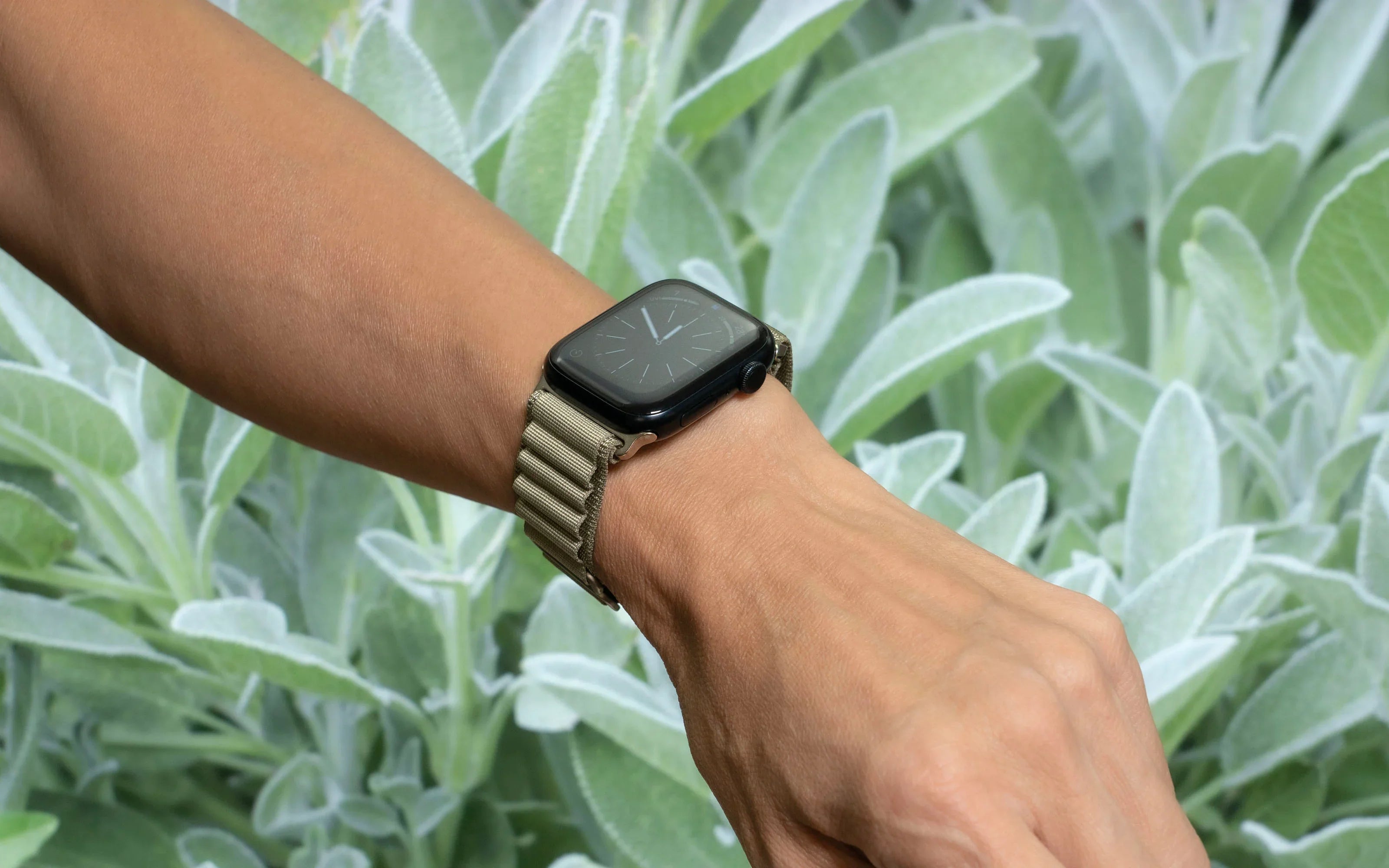 Torrii Watch 49/46/45/44 Mm Solar Strap - Sage - Tashqila