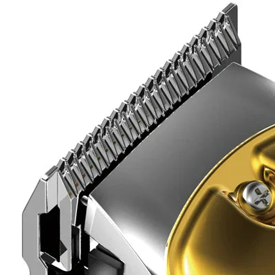 Dingling RF-1983S Hair & Beard Trimmer - Tashqila